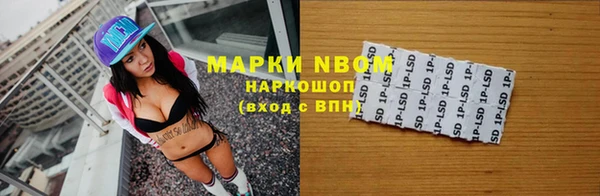 индика Алзамай