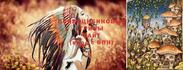 наркотики Новозыбков