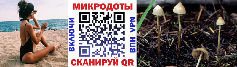 Галлюциногенные грибы MAGIC MUSHROOMS Анжеро-Судженск