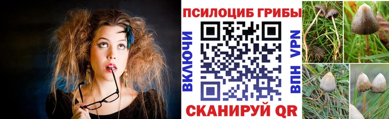 Галлюциногенные грибы MAGIC MUSHROOMS  Анжеро-Судженск 